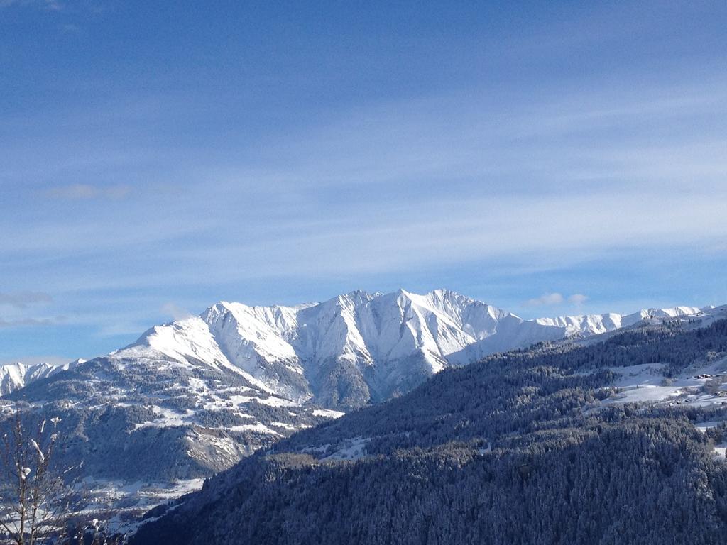 Christall Andest Cameră foto